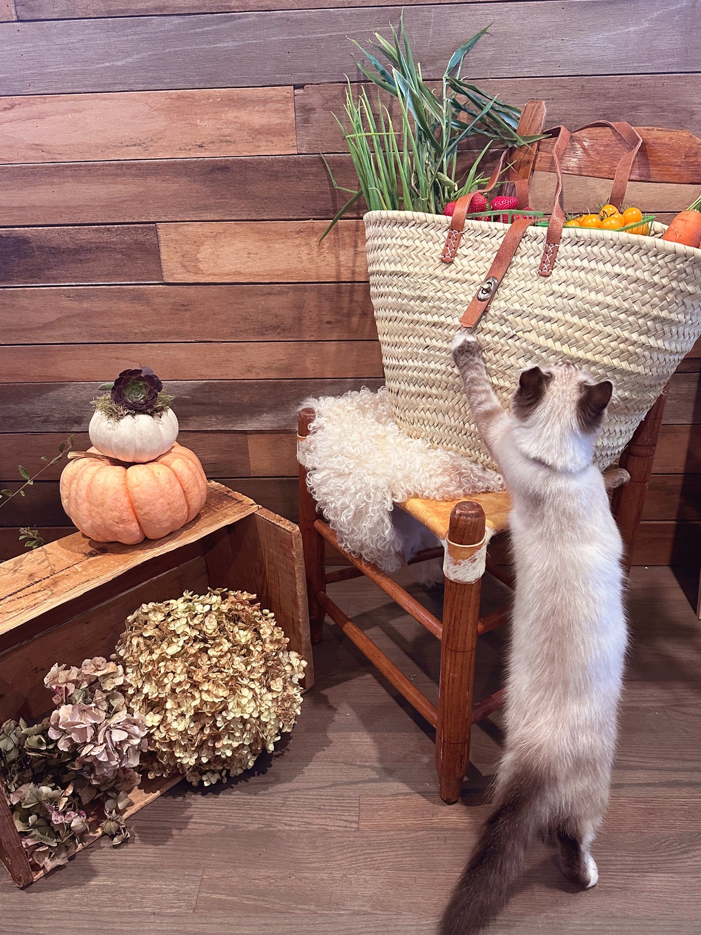 Extra Large Farmers Market Tote - BACK IN STOCK