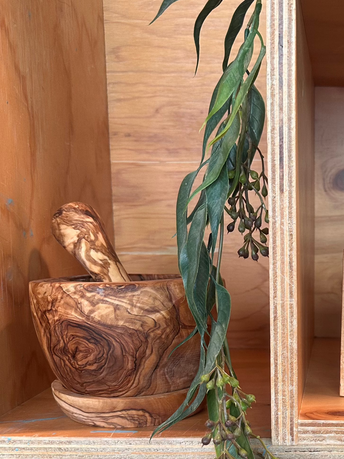 Olive Wood Rustic Mortar & Pestle - LARGE